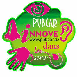 Pubcar